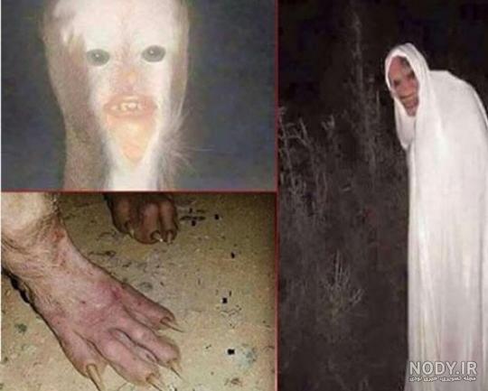 شماره تلفن ملا علي كلك شماره تلفن ملا علي كلك