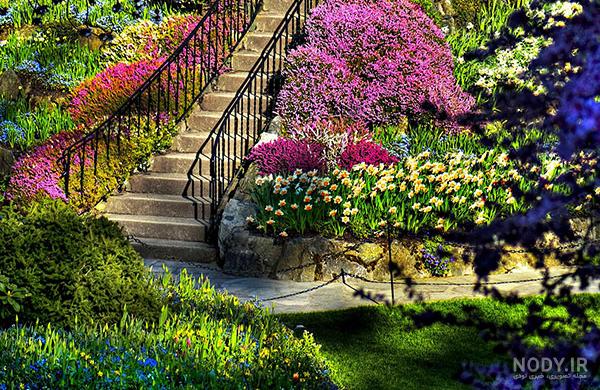 عکس از طبیعت بهاری برای پروفایل
