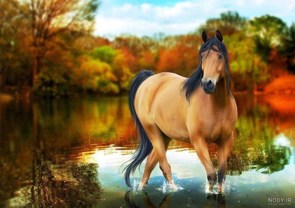 عکس اسب های وحشی با کیفیت بالا