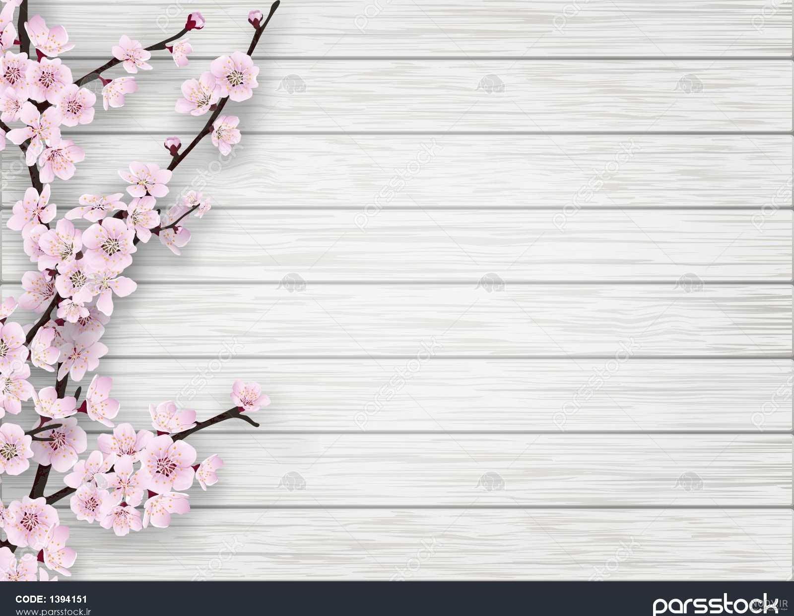 عکس بهار قدیمی عکس بهار قدیمی