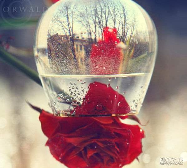 عکس زیبا و جذاب برای تصویر زمینه