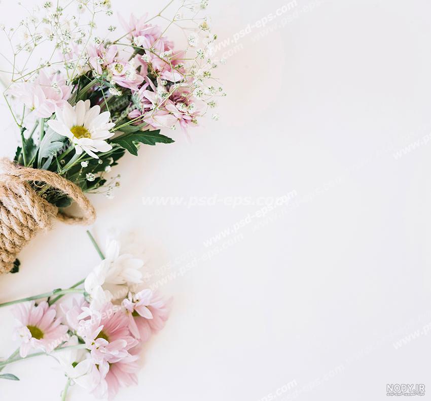 عکس سفید زیبا