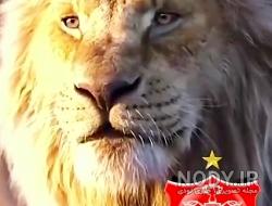 عکس های پرسپولیس عکس های پرسپولیس