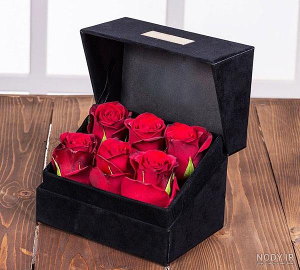 عکس پروفایل کادو طبیعی