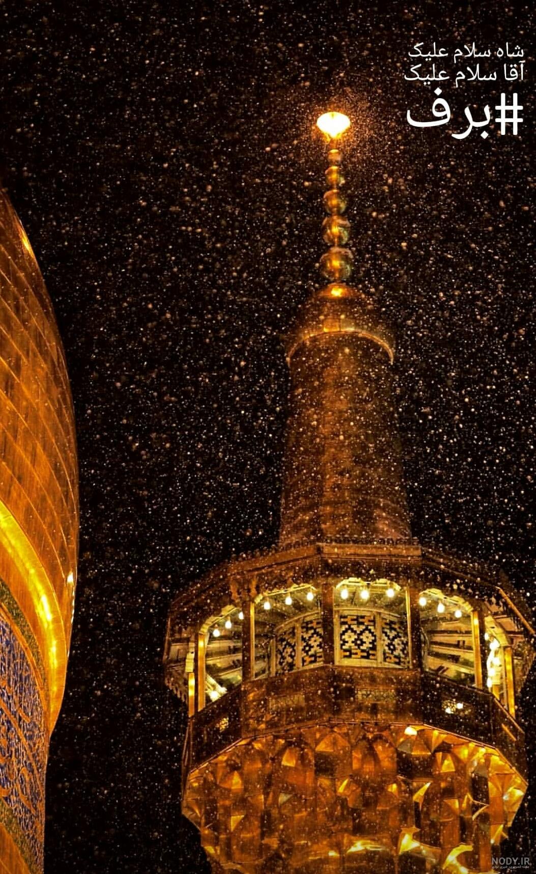 عکس کبوتر حرم امام حسین عکس کبوتر حرم امام حسین