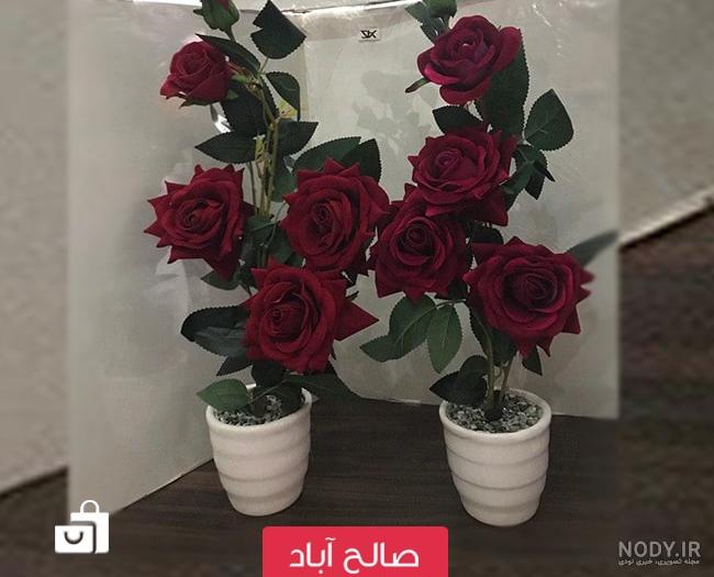 عکس گل رز صورتی زیبا عکس گل رز صورتی زیبا