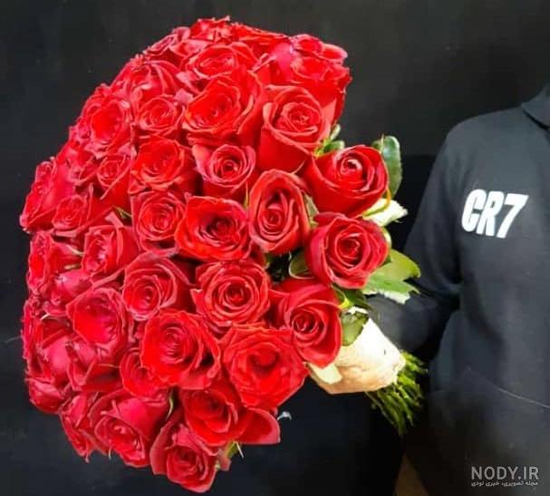عکس گل رز صورتی زیبا برای پروفایل
