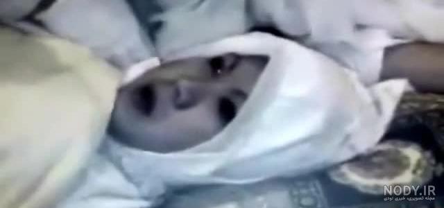 ملا علي كلك ویکی پدیا ملا علي كلك ویکی پدیا