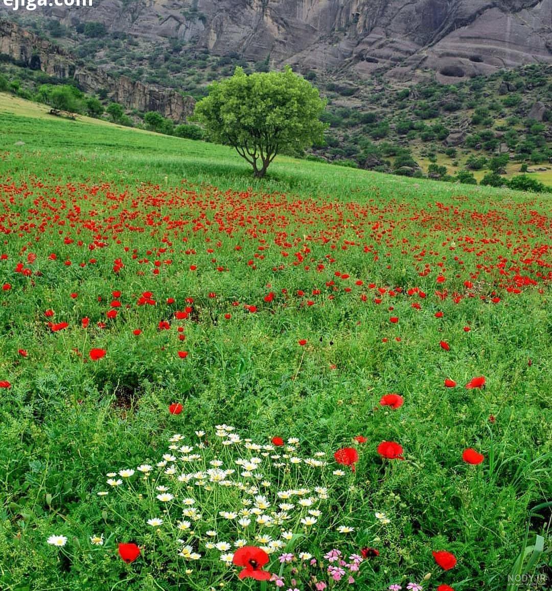 مناظر زیبای بهاری در جهان