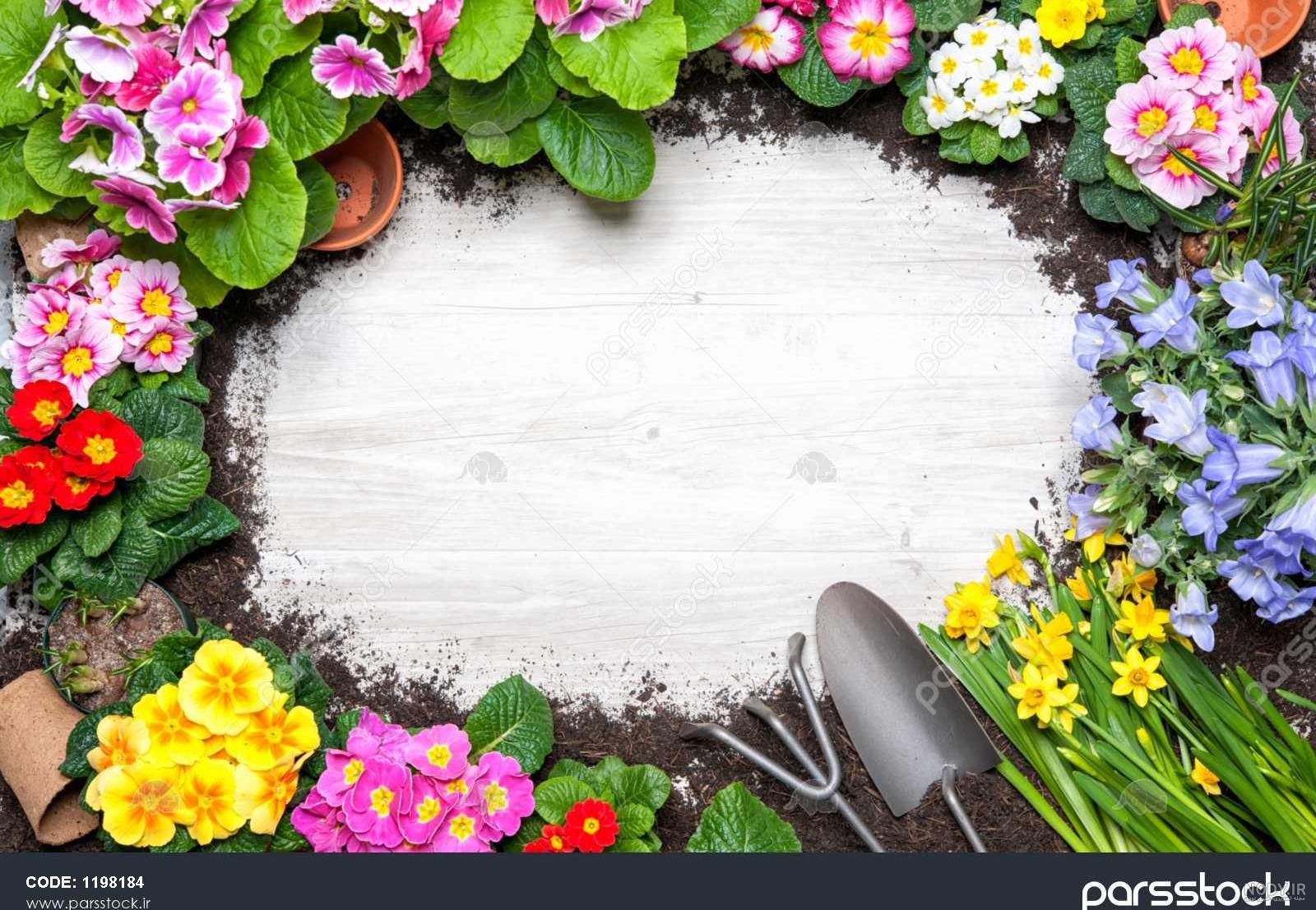 پروفایل بهاری عاشقانه پروفایل بهاری عاشقانه