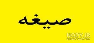 شماره تلفن زنان همدان شماره تلفن زنان همدان