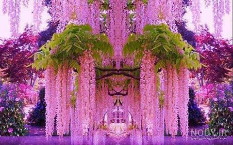  عکس طبیعت رویایی