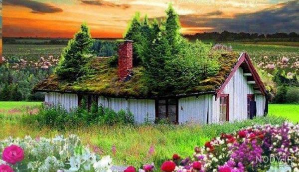  عکس طبیعت رویایی