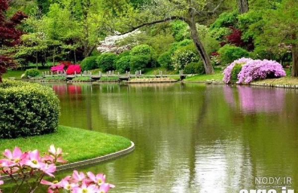  عکس طبیعت رویایی