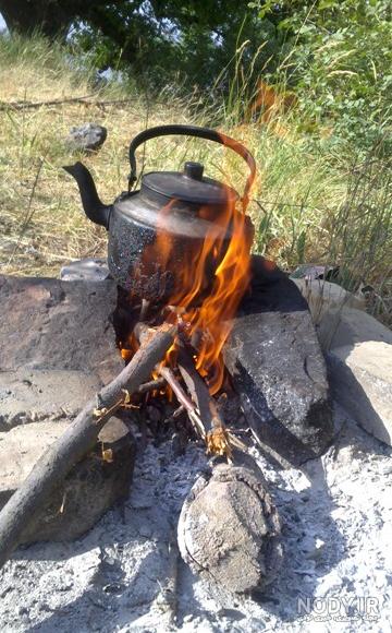 عکس چای آتیشی در کوه