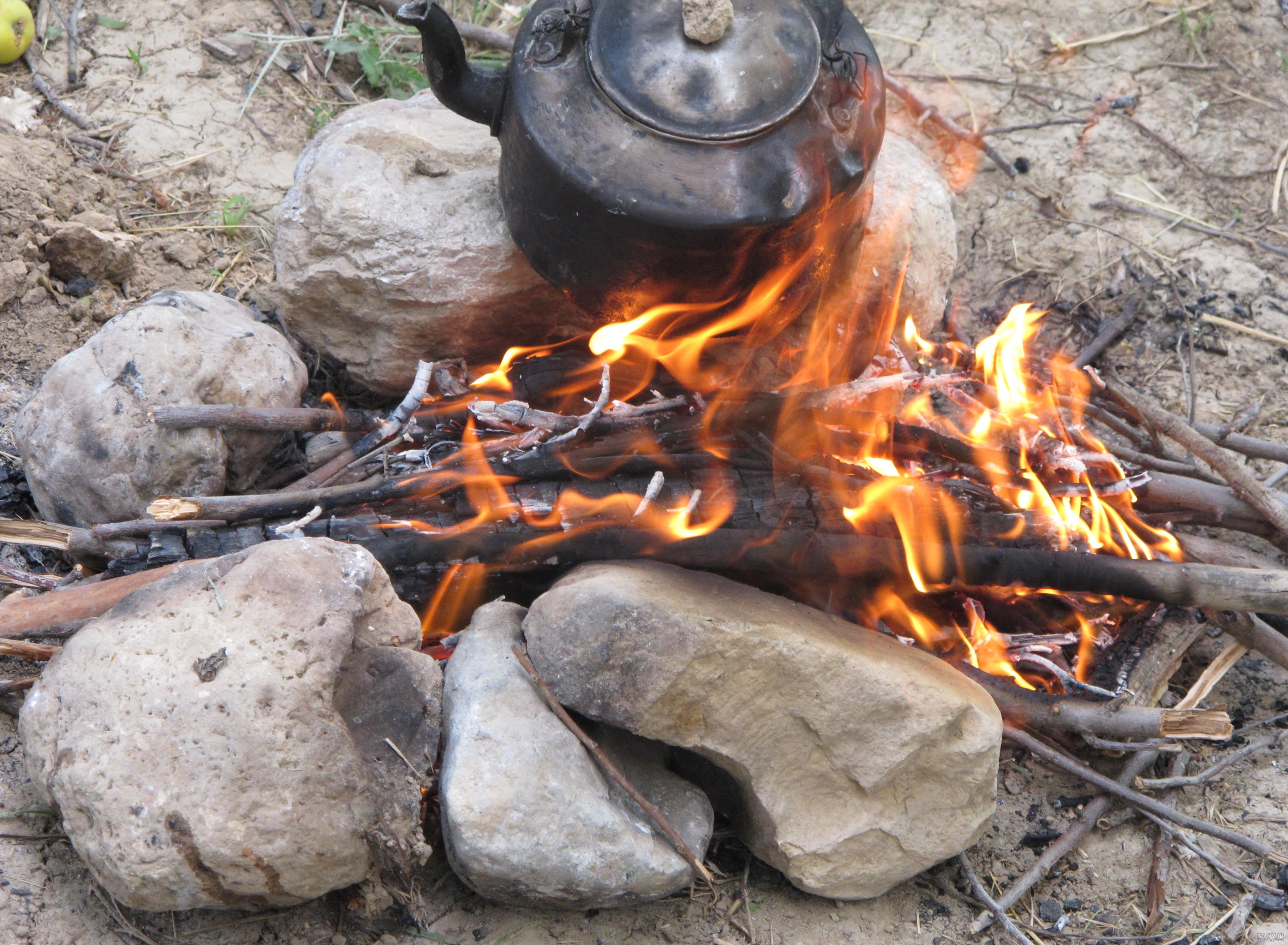 عکس چای آتیشی در کوه