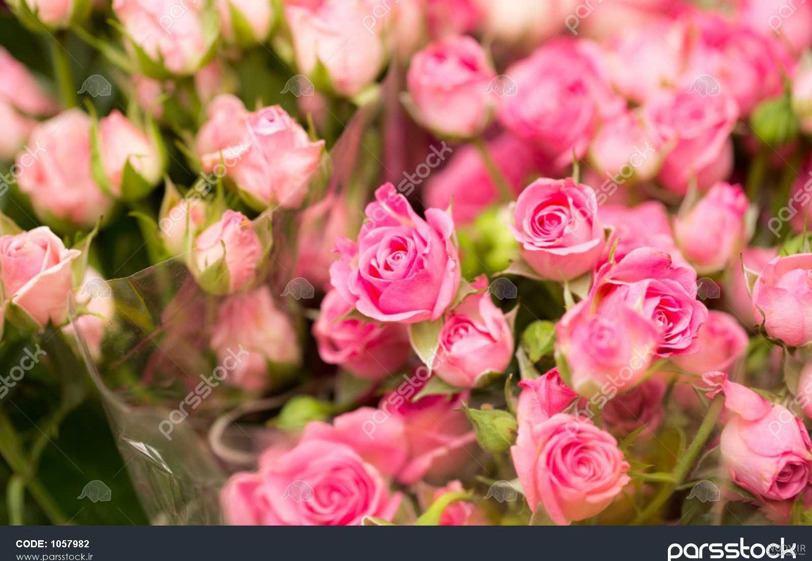 استیکر گل زیبا