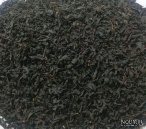 انواع چای شمال