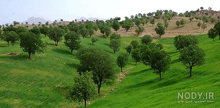 تصاویر زیبای طبیعت یاسوج