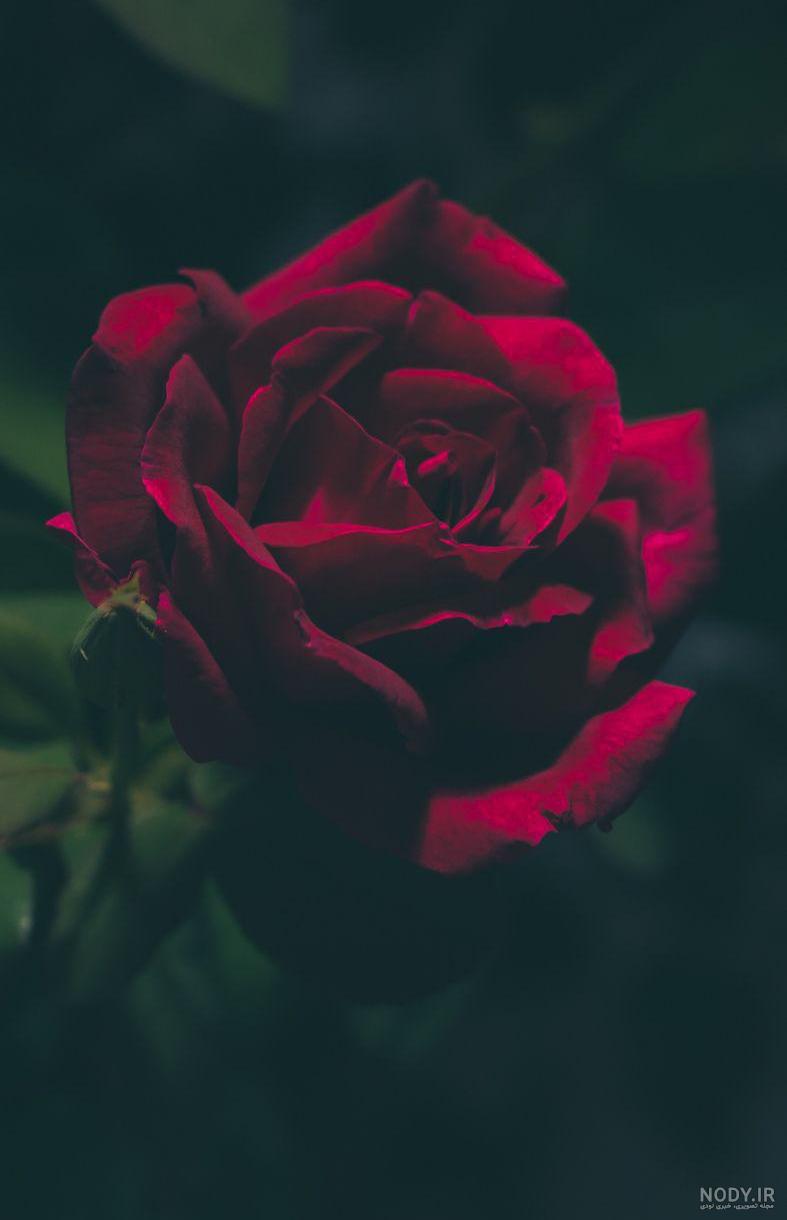 تصویر زمینه زرد ساده تصویر زمینه زرد ساده