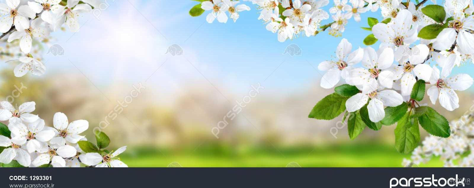 دانلود عکس طبیعت
