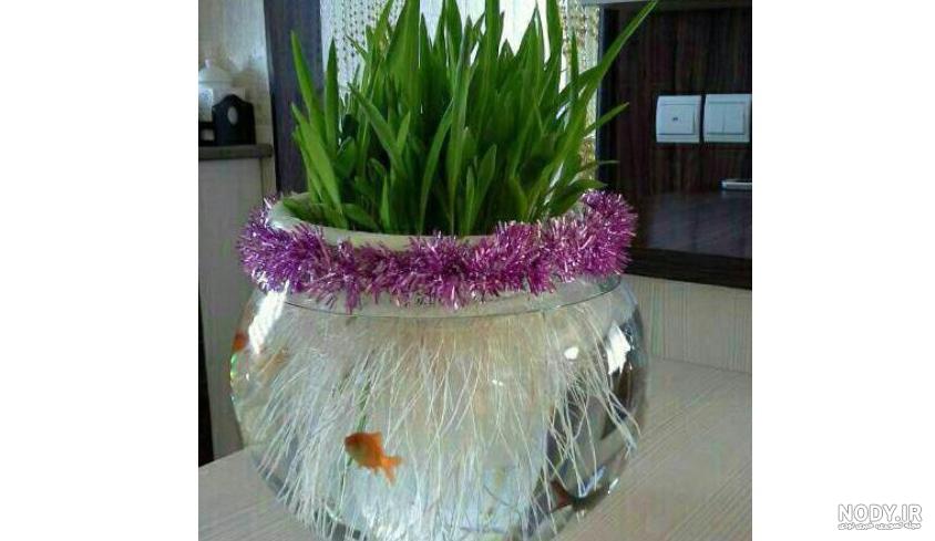 درآمد کاشت ذرت شیرین درآمد کاشت ذرت شیرین