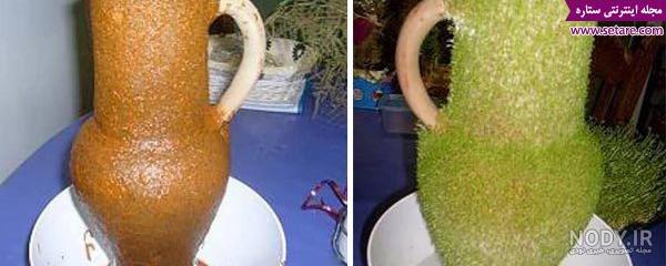 سبزه ریحون روی کوزه