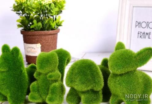 سبزه شاهی روی چوب