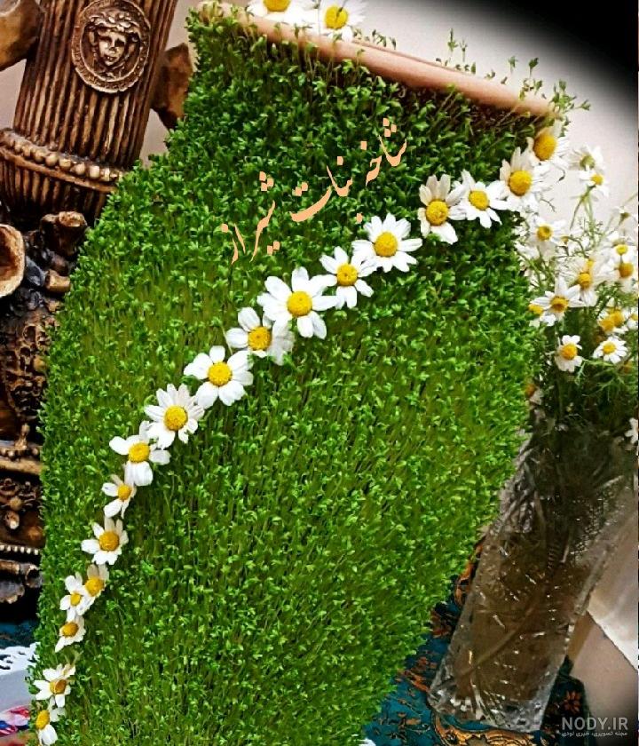 سبزه کنجد سفید روی کوزه