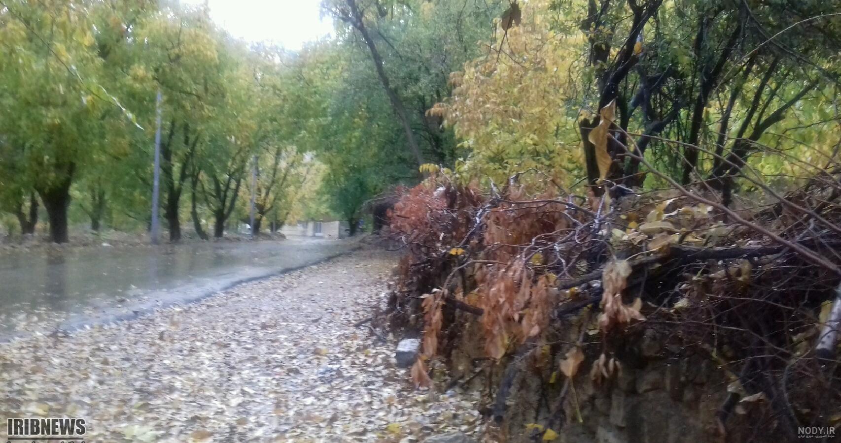 سوغات سی سخت یاسوج