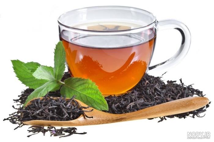 شرکت چای شمال