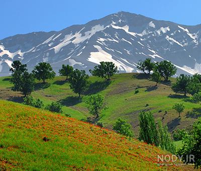 عکس از طبیعت شهرکرد