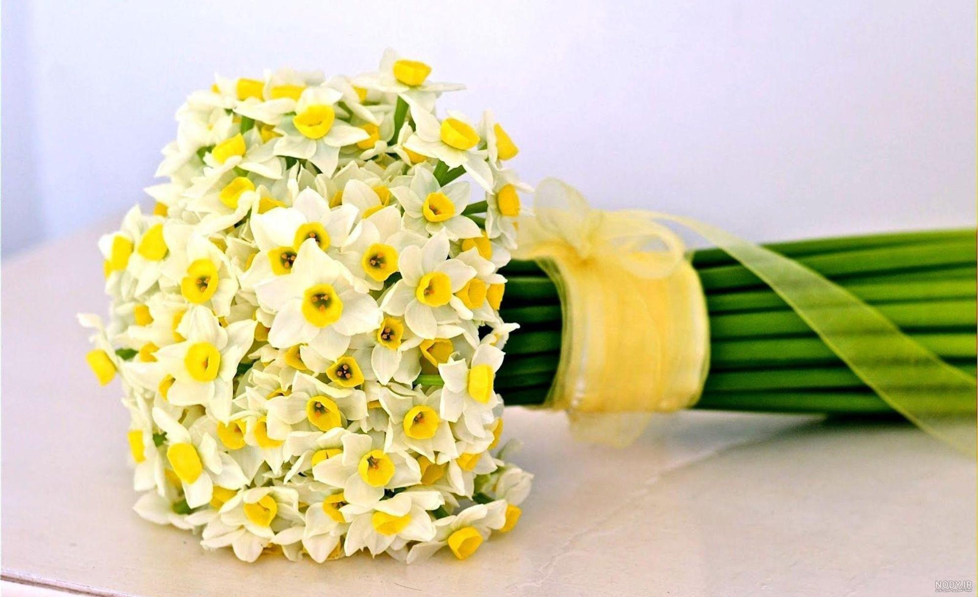عکس باغ گل نرگس