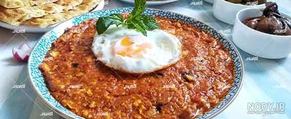 عکس تزیین غذای میرزا قاسمی