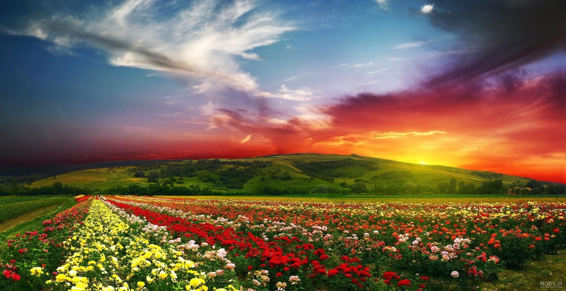 عکس طبیعت زیبا فول اچ دی عکس طبیعت زیبا فول اچ دی