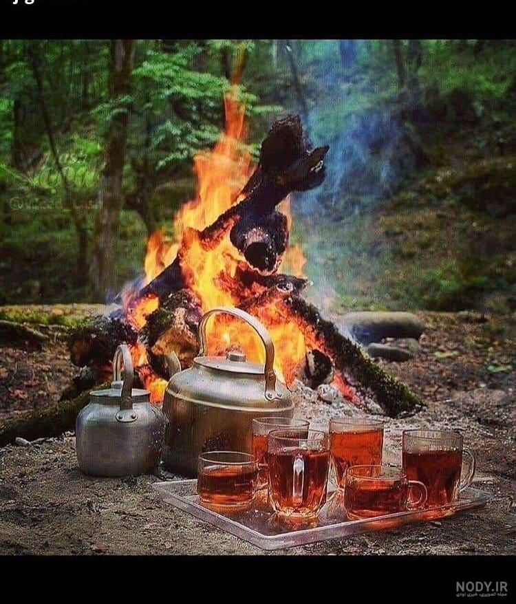 عکس چای آتیشی در جنگل
