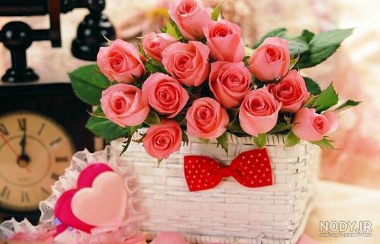 عکس گل رز سبز آبی