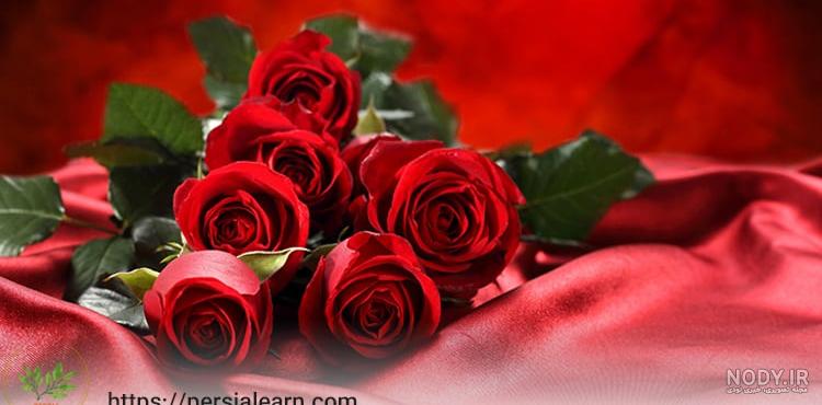 عکس گل طبیعی عکس گل طبیعی