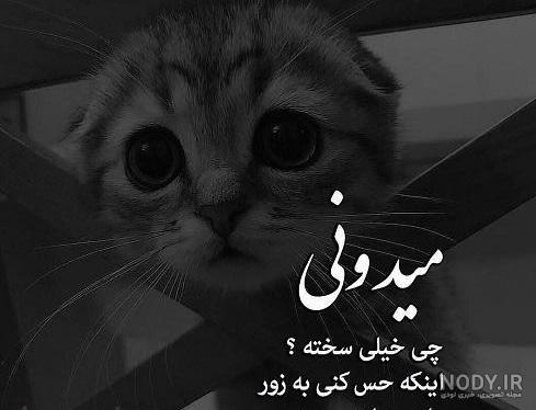 عکسهای سیاه و سفید هنری با کیفیت بالا عکسهای سیاه و سفید هنری با کیفیت بالا