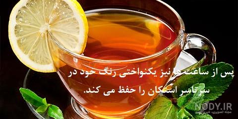 قیمت چای شمال
