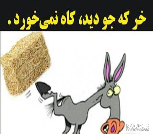 پروفایل کنایه امیز