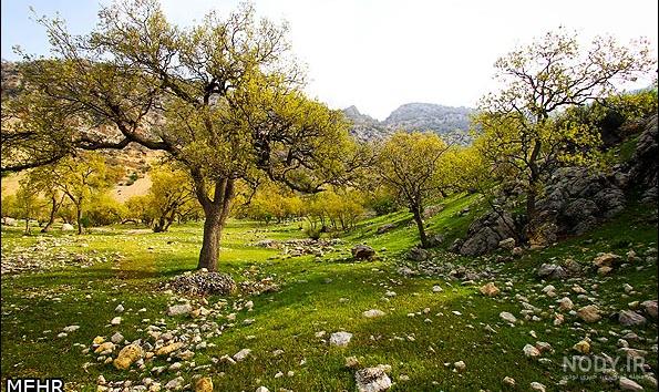 یاسوج در نقشه ایران