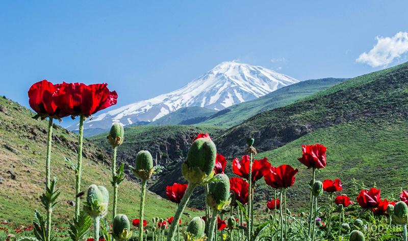 ایران زیبای من ایران زیبای من