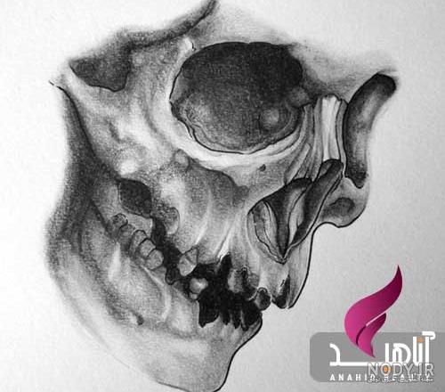 تاتو ماهی رنگی