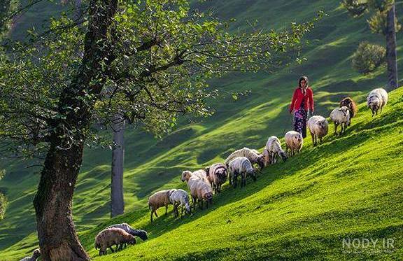 جاذبه های گردشگری تاریخی ایران جاذبه های گردشگری تاریخی ایران