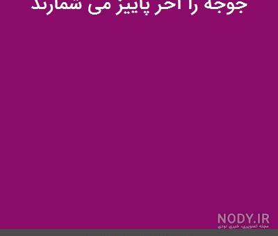 داستانی در مورد جوجه رو اخر پاییز میشمارن داستانی در مورد جوجه رو اخر پاییز میشمارن