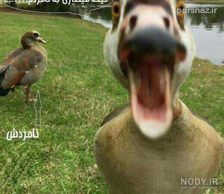 عکس از خنده دار عکس از خنده دار