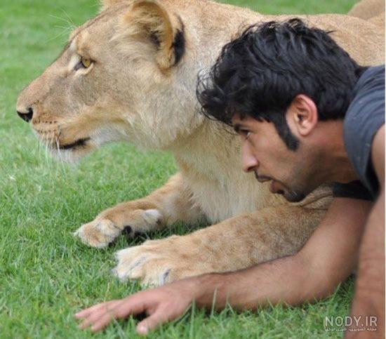 عکس حیوانات وحشی و اهلی
