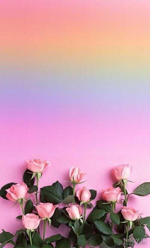 عکس ساده زیبا برای نوشتن متن