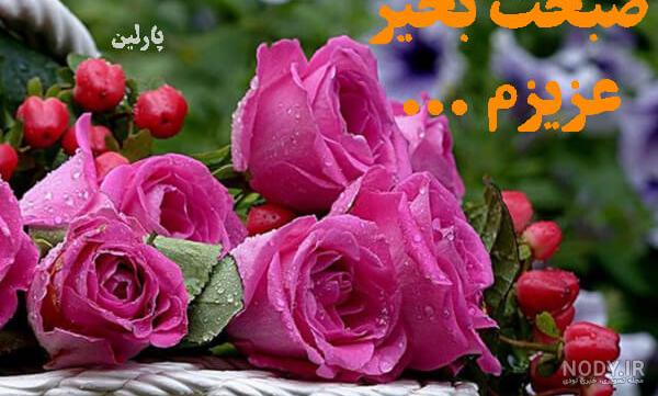 عکس صبح بخیر خنده دار عکس صبح بخیر خنده دار